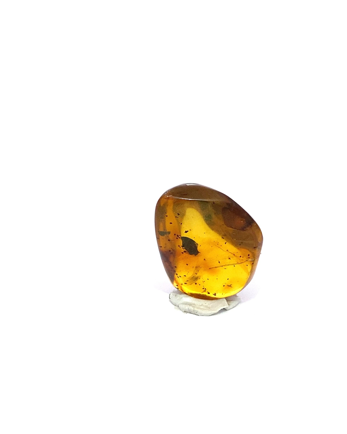 Amber with Insects from Chiapas, Mexico