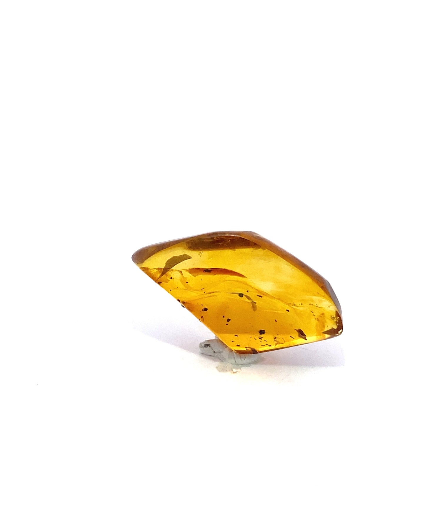 Amber with Insects from Chiapas, Mexico