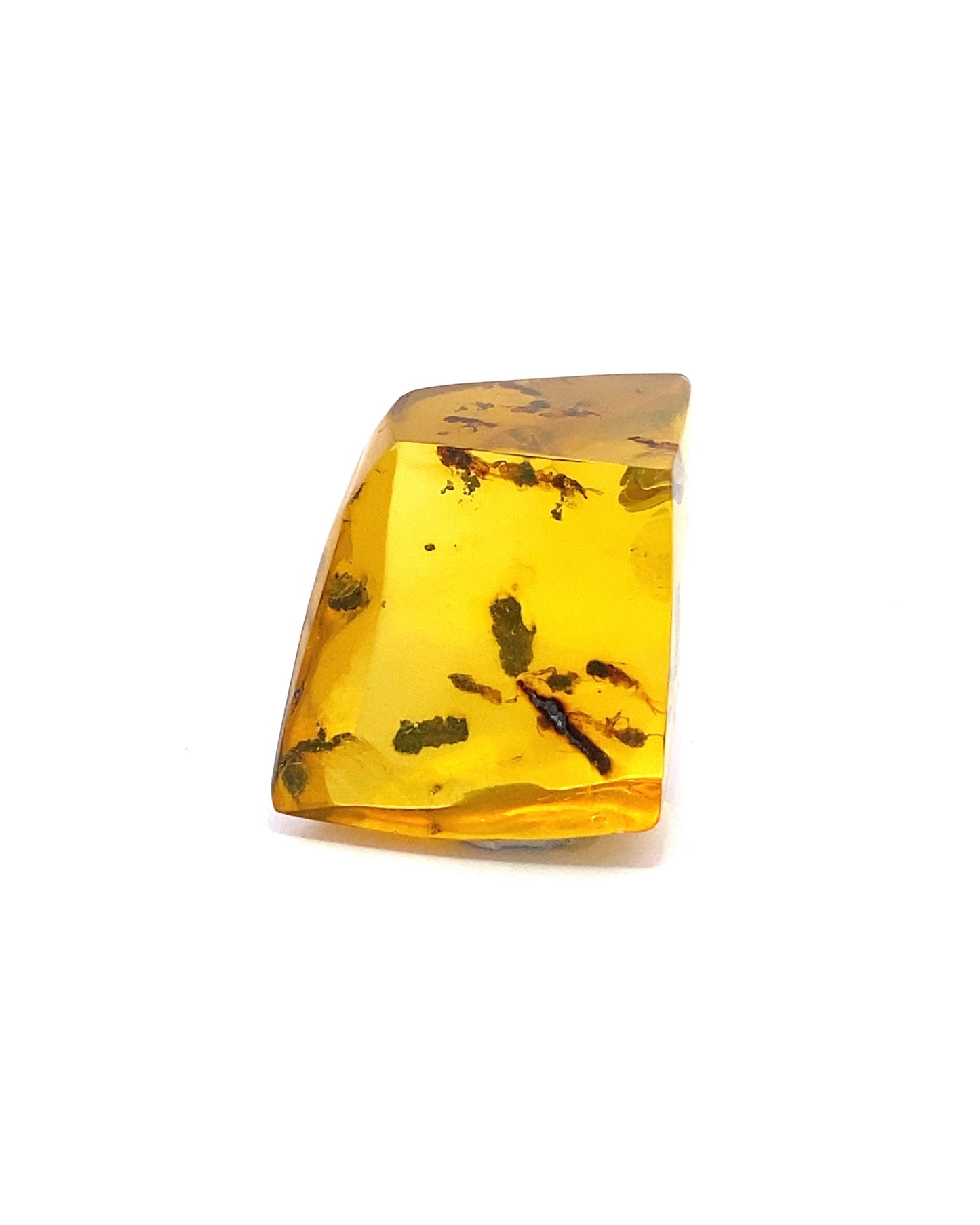 Amber with Insects from Chiapas, Mexico