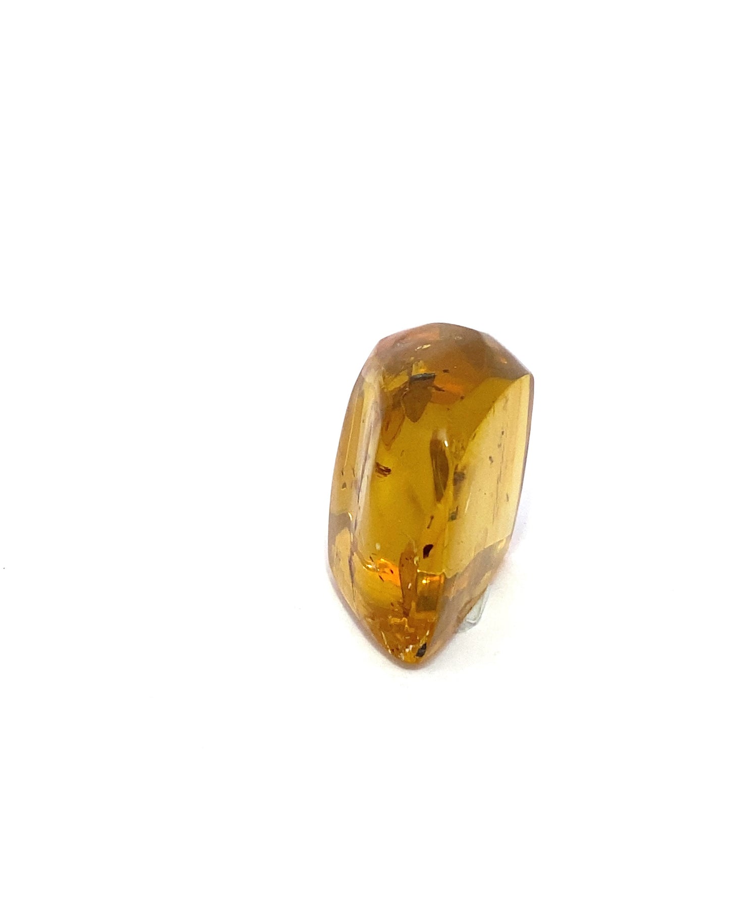 Amber with Insects from Chiapas, Mexico