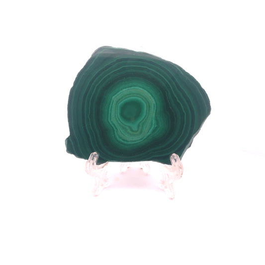 AAA Grade Malachite Slice Bullseye Orb Pattern from Congo