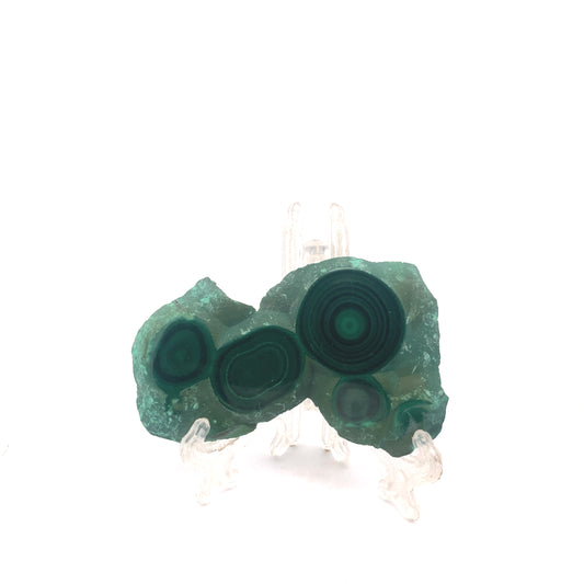 AAA Grade Malachite Slice Bullseye Orb Pattern from Congo