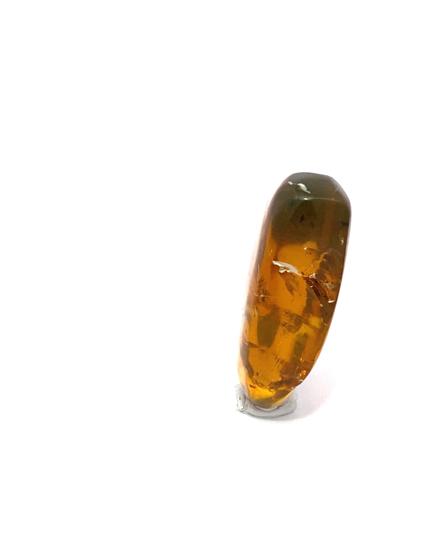 Amber with Insects from Chiapas, Mexico