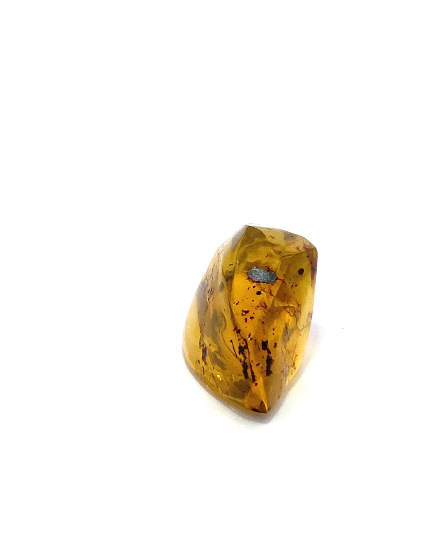 Amber with Insects from Chiapas, Mexico