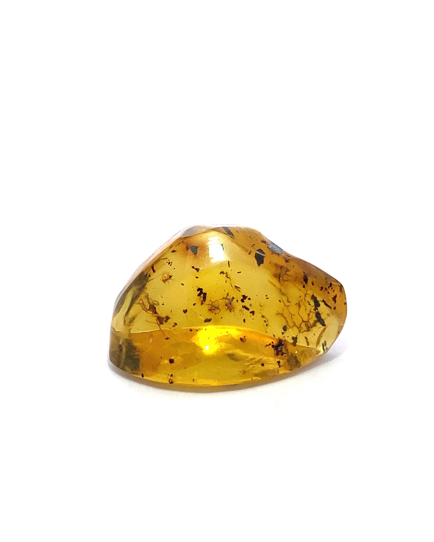 Amber with Insects from Chiapas, Mexico