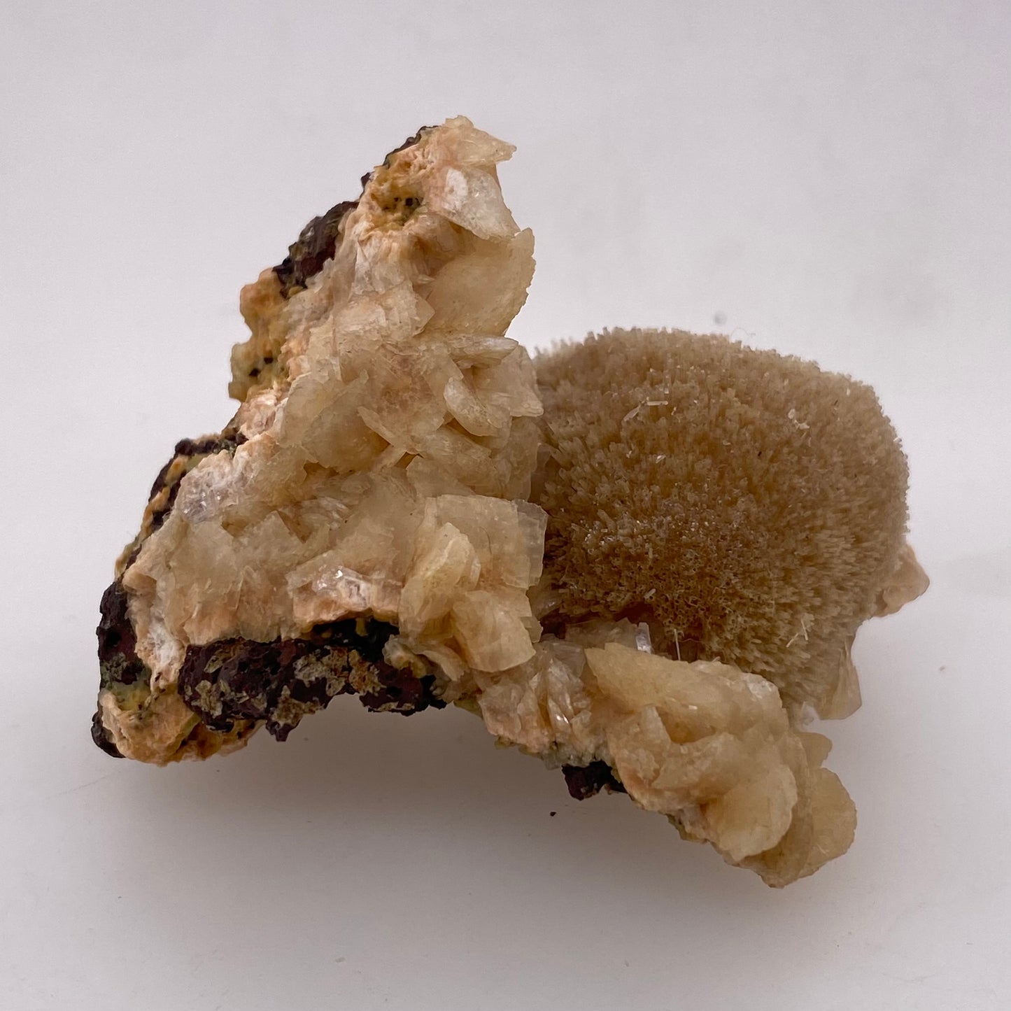 Zeolite var. Thomsonite - Maharashtra, India