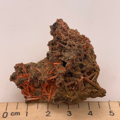 Crocoite - Red Lead Mine, Tasmania, Australia