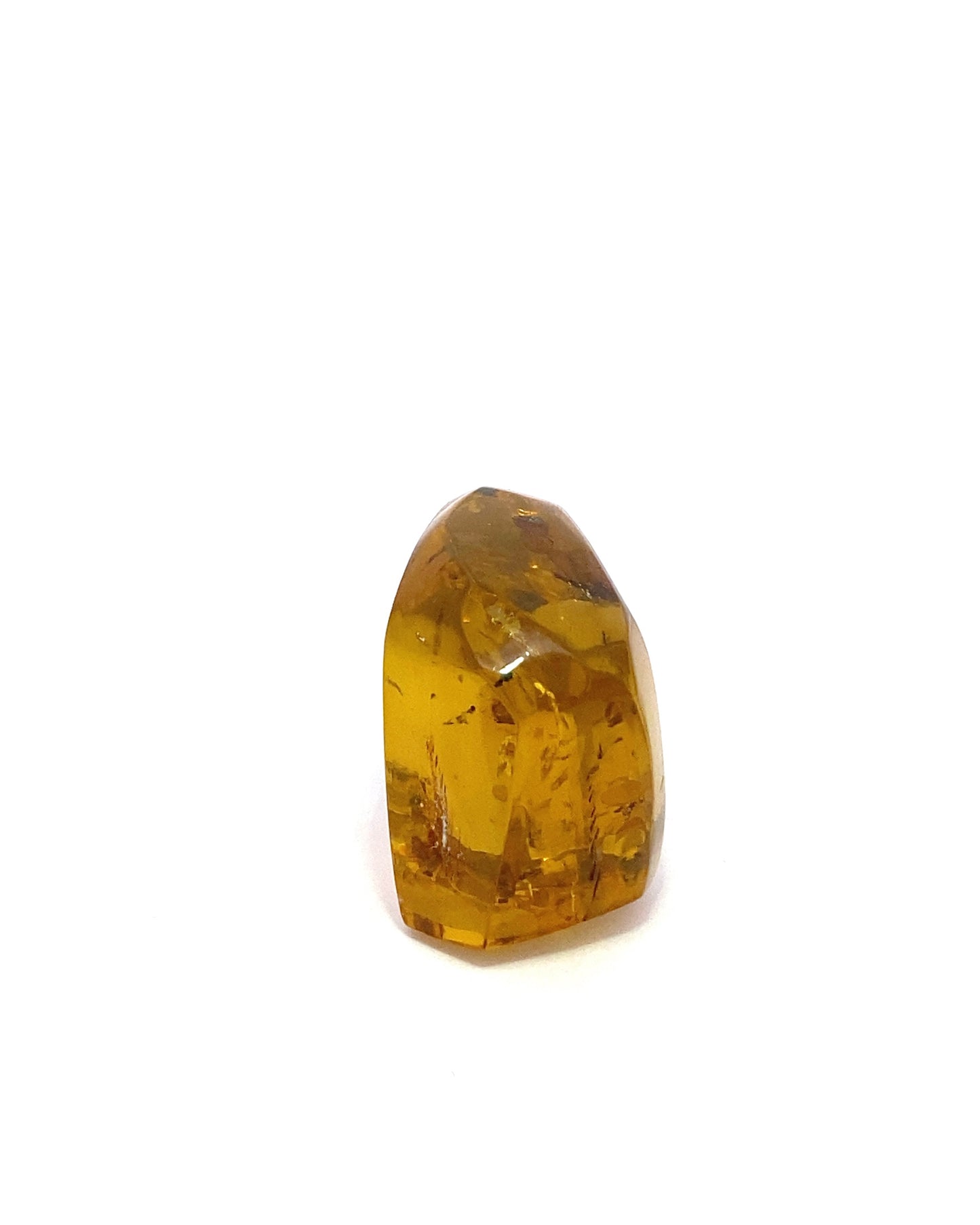 Amber with Insects from Chiapas, Mexico