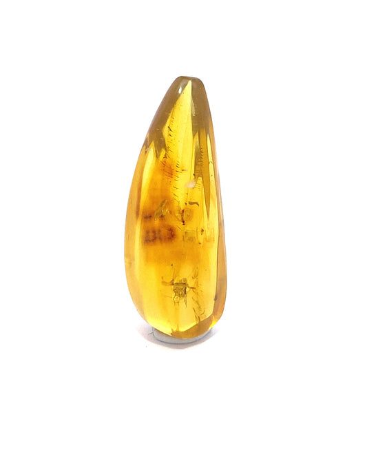 Amber with Insects from Chiapas, Mexico