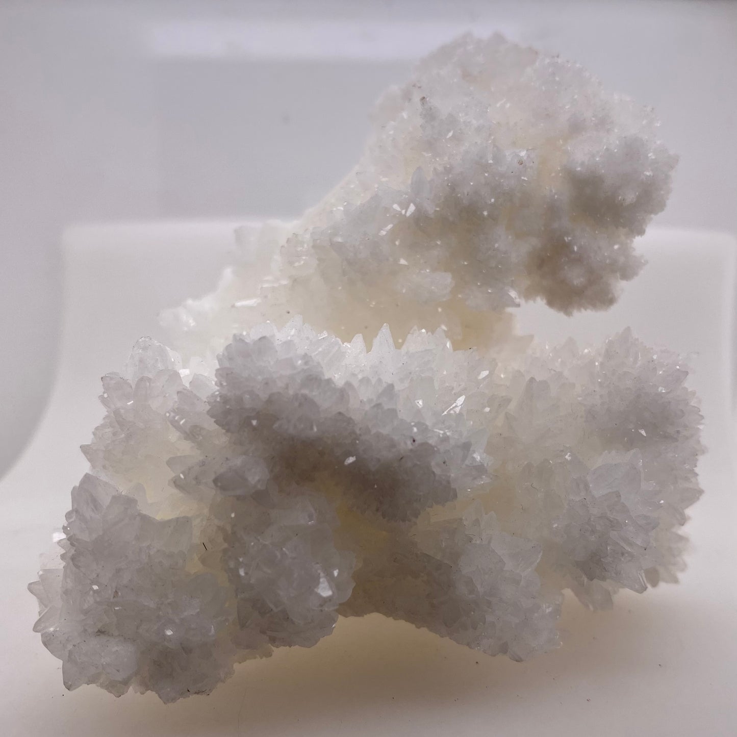 Sparkly White Aragonite/Calcite - Buena Tierra Mine, Chihuahua, Mexico