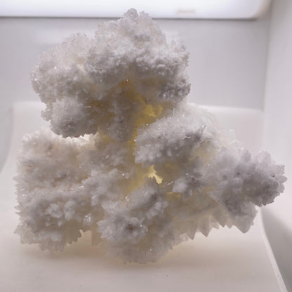 Sparkly White Aragonite/Calcite - Buena Tierra Mine, Chihuahua, Mexico