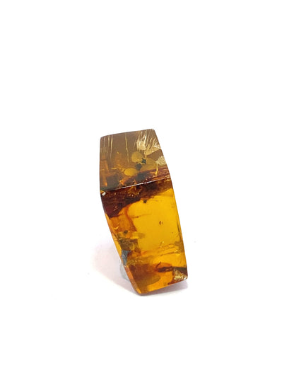 Amber with Insects from Chiapas, Mexico