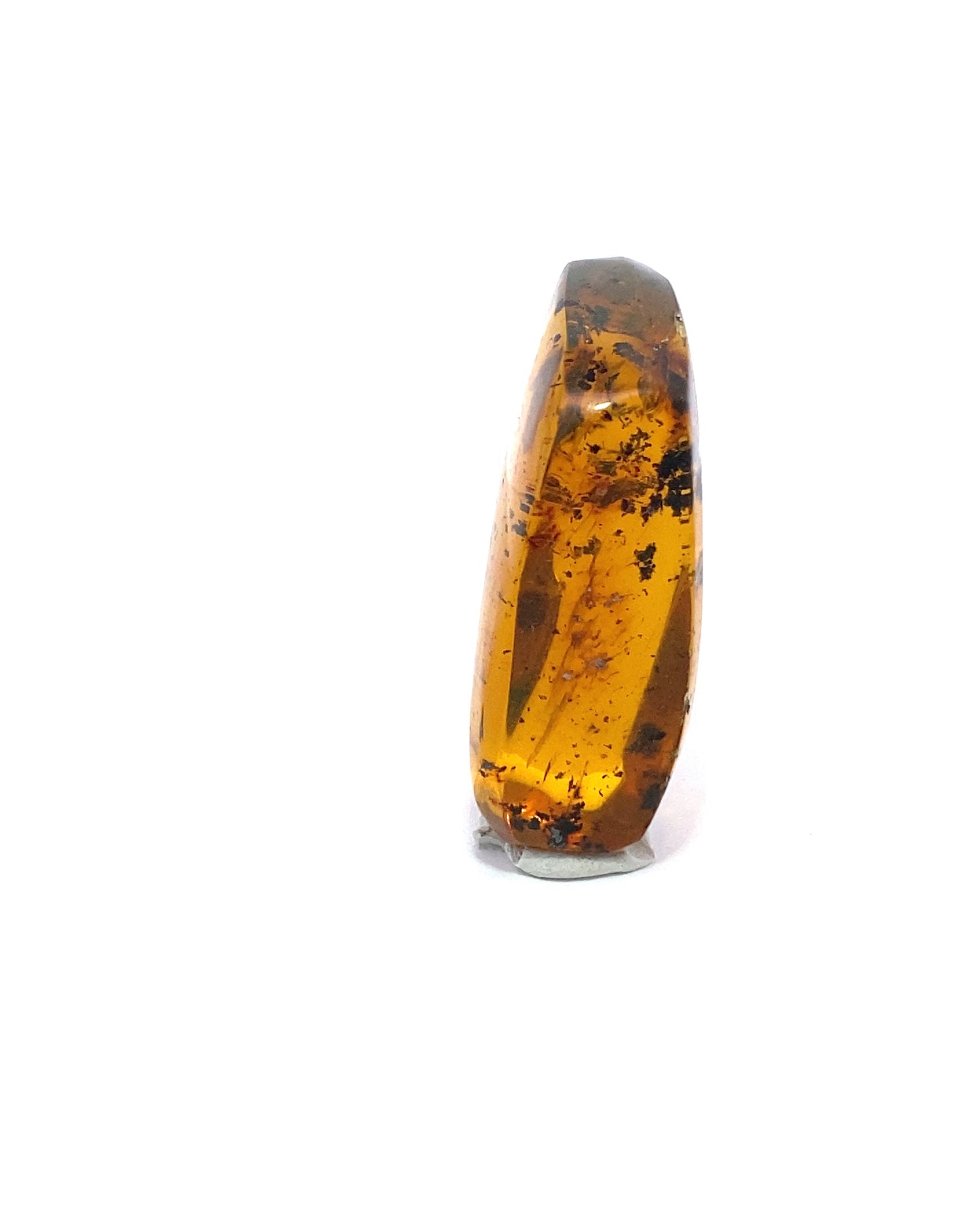 Amber with Insects from Chiapas, Mexico