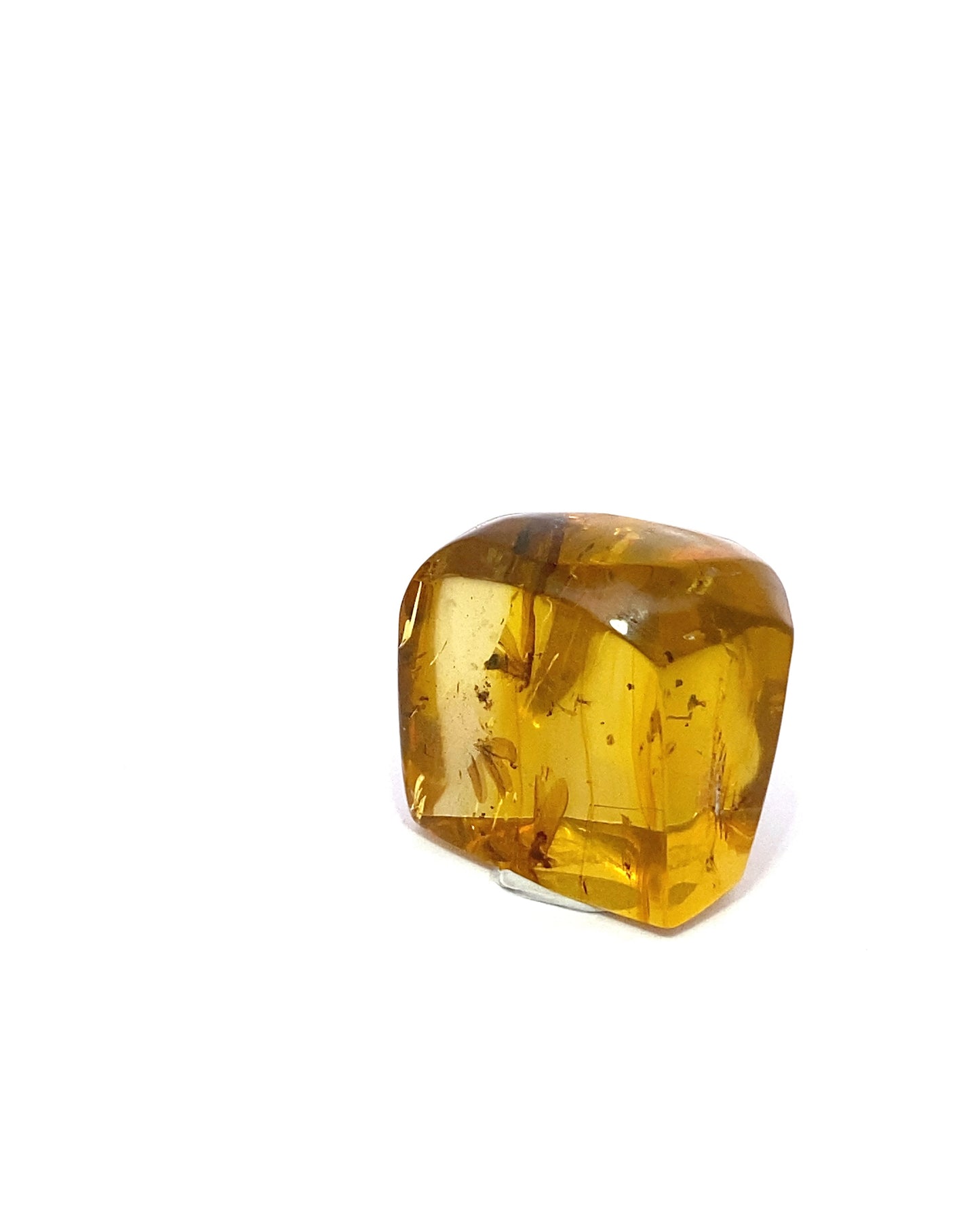 Amber with Insects from Chiapas, Mexico