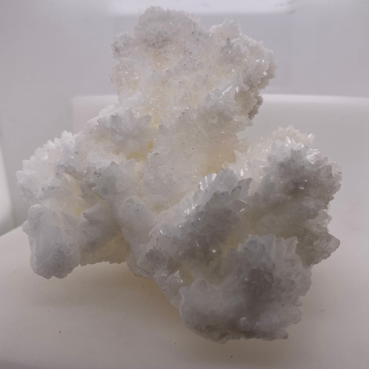 Sparkly White Aragonite/Calcite - Buena Tierra Mine, Chihuahua, Mexico