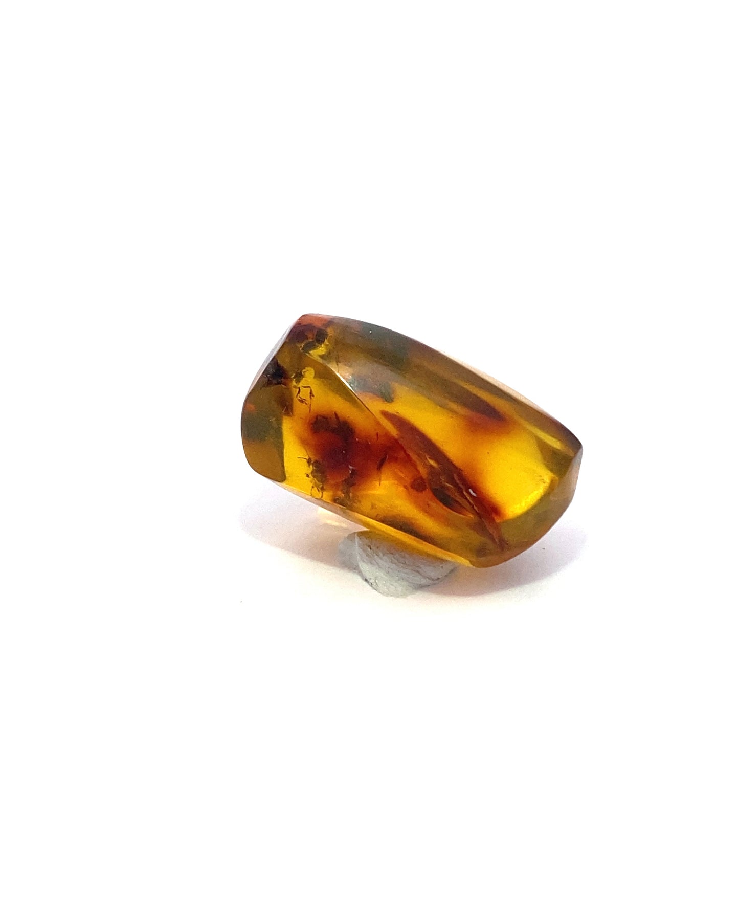 Amber with Insects from Chiapas, Mexico