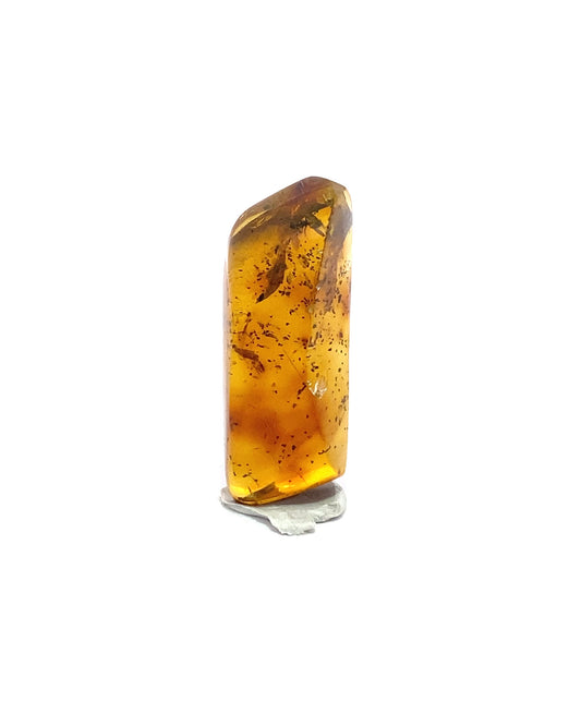 Amber with Insects from Chiapas, Mexico