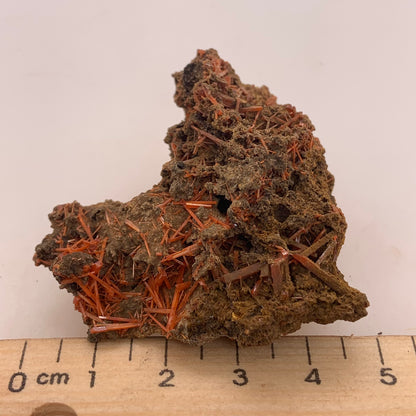 Crocoite - Red Lead Mine, Tasmania, Australia