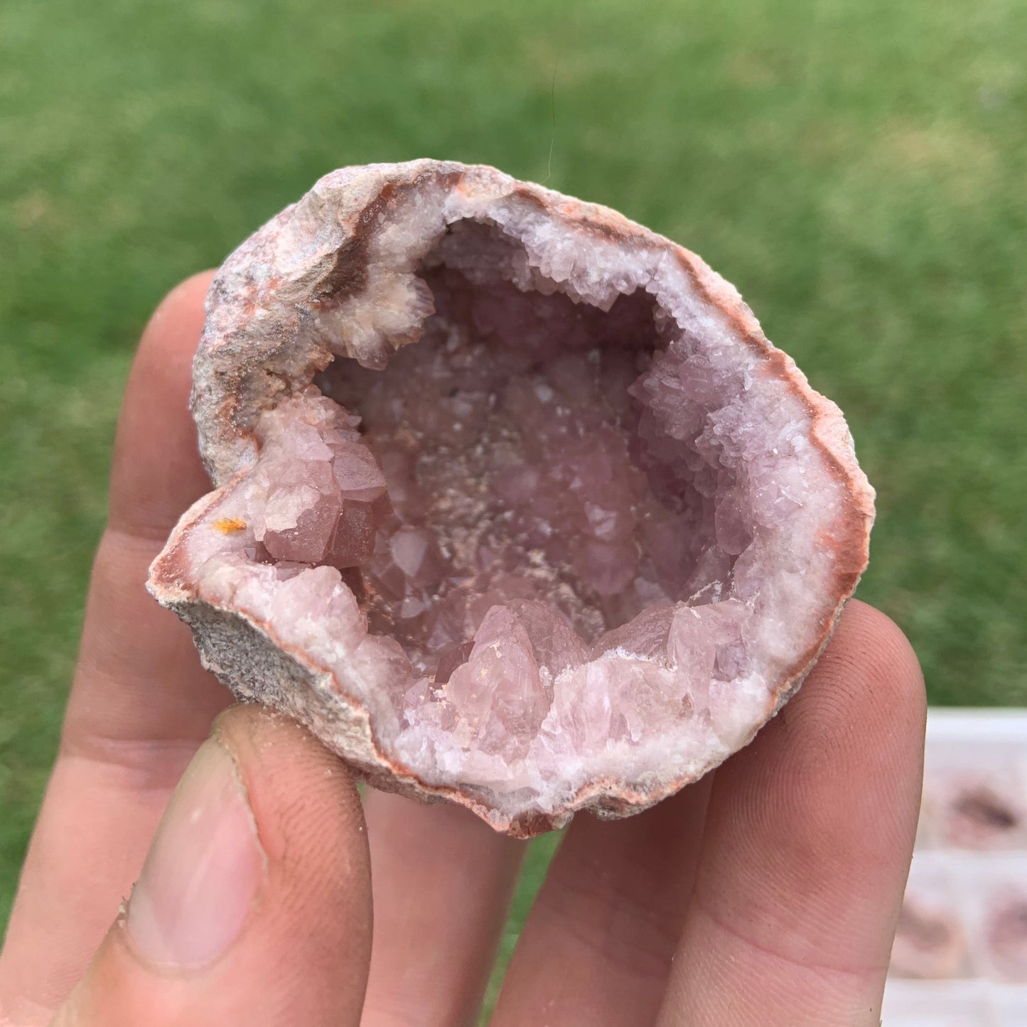 20pcs Pink Amethyst Geode - From Argentina