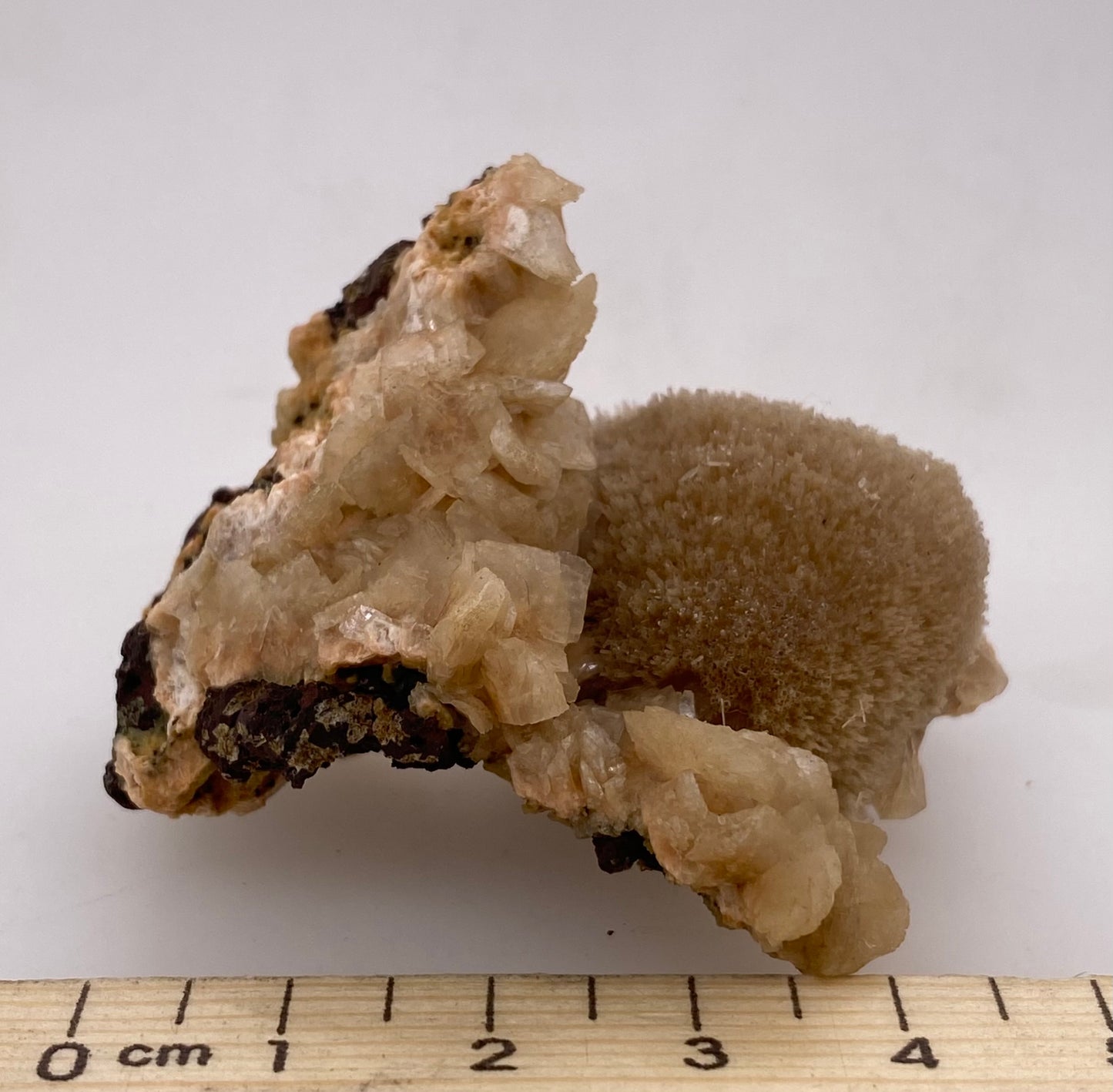 Zeolite var. Thomsonite - Maharashtra, India