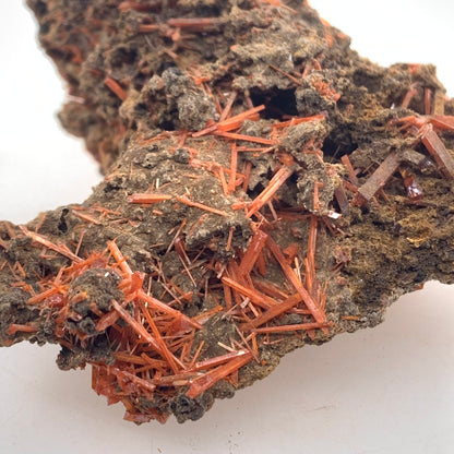 Crocoite - Red Lead Mine, Tasmania, Australia