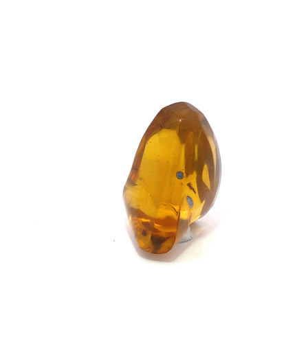 Amber with Insects from Chiapas, Mexico