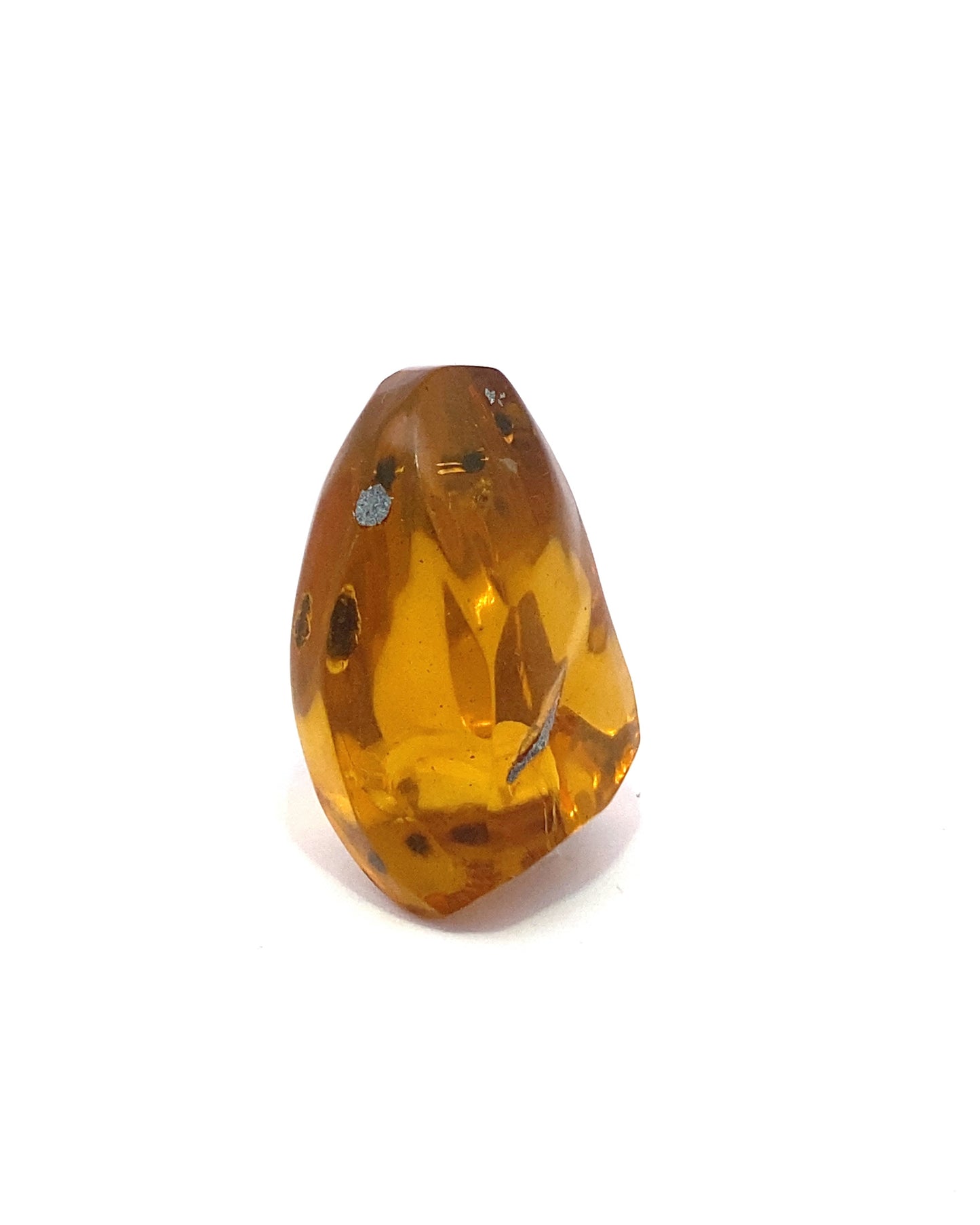 Amber with Insects from Chiapas, Mexico