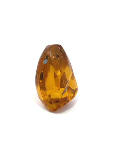 Amber with Insects from Chiapas, Mexico