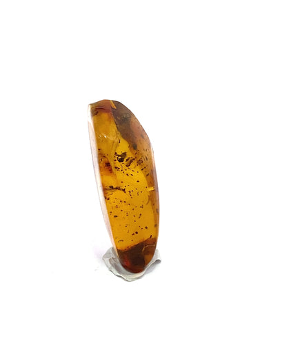 Amber with Insects from Chiapas, Mexico