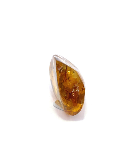 Amber with Insects from Chiapas, Mexico