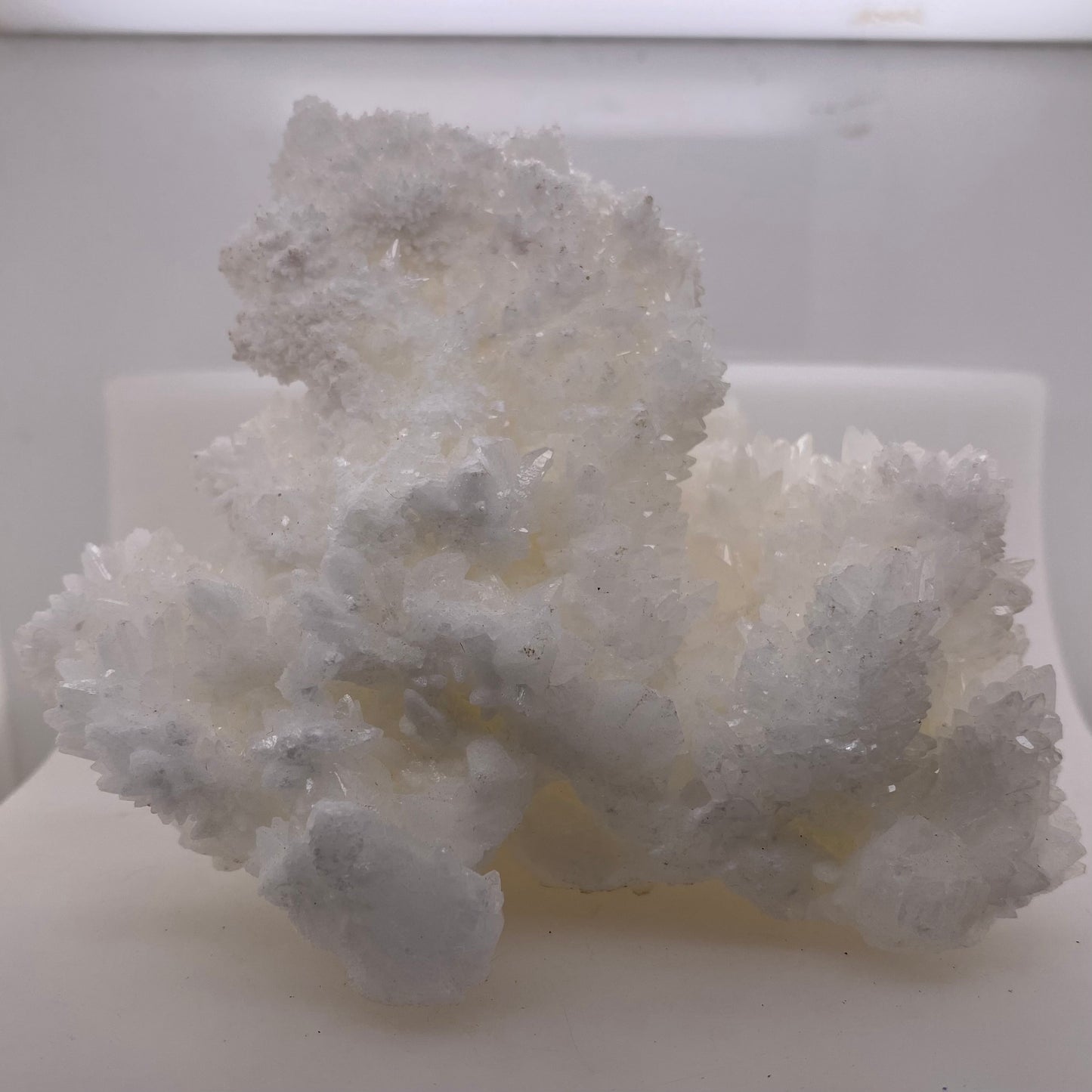 Sparkly White Aragonite/Calcite - Buena Tierra Mine, Chihuahua, Mexico