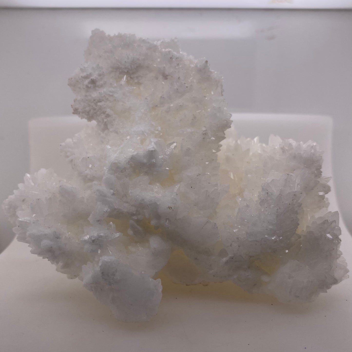 Sparkly White Aragonite/Calcite - Buena Tierra Mine, Chihuahua, Mexico