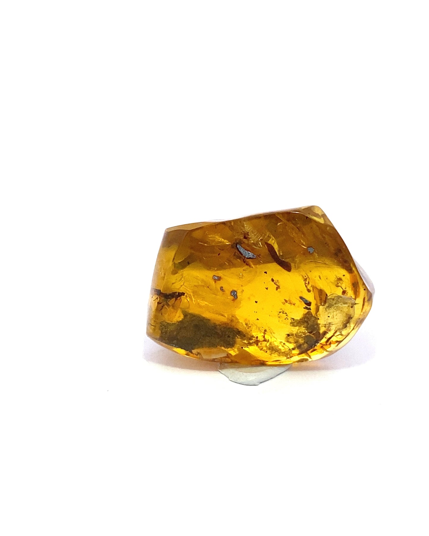 Amber with Insects from Chiapas, Mexico