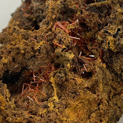 Crocoite - Red Lead Mine, Tasmania, Australia