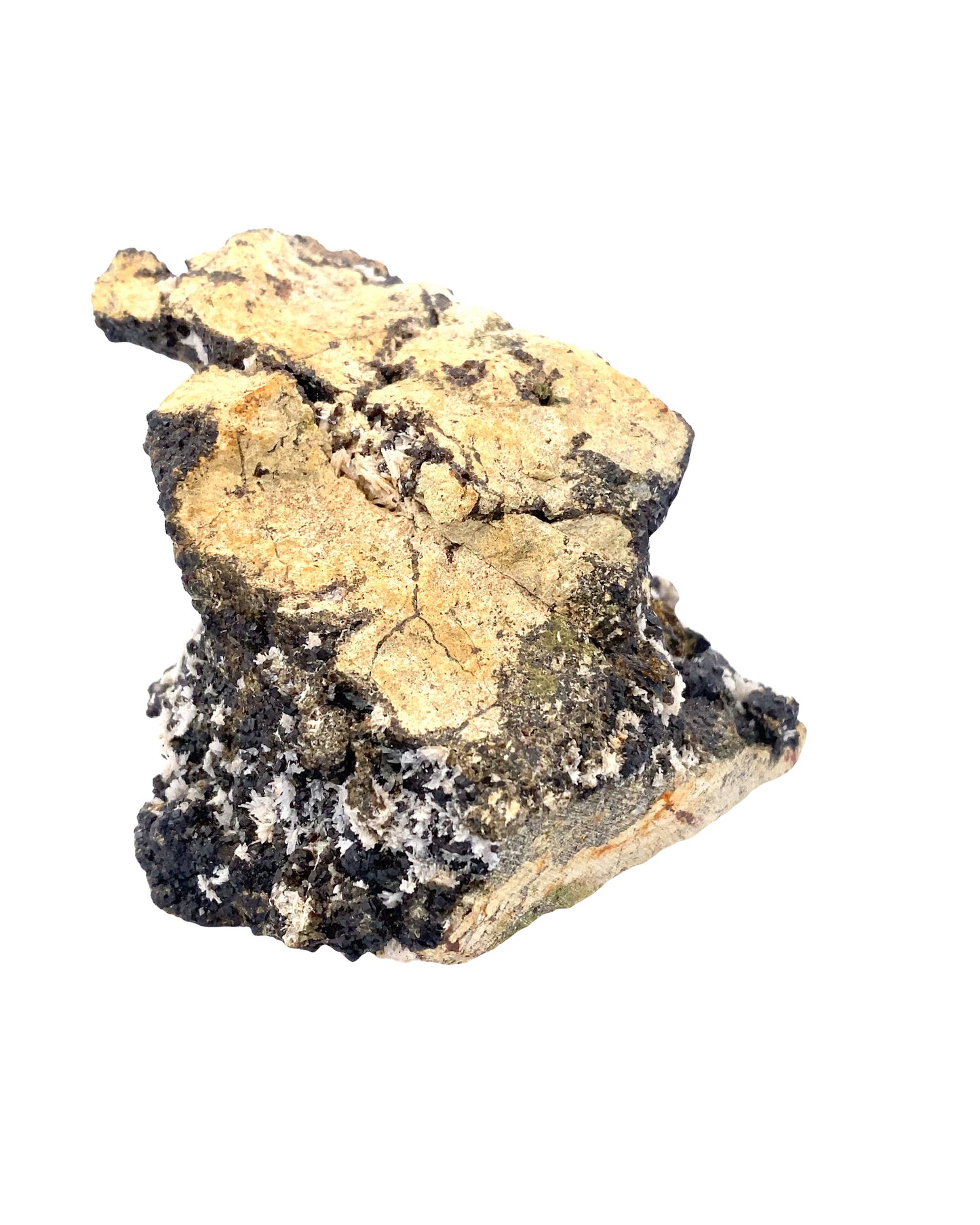 Melanite Garnet w/ Epidote from Vera Cruz, Mexico