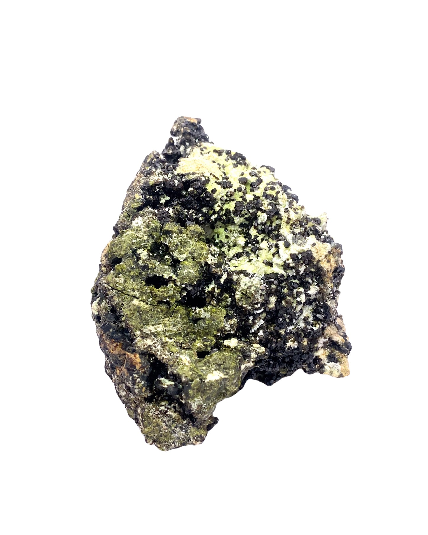 Melanite Garnet w/ Epidote from Vera Cruz, Mexico