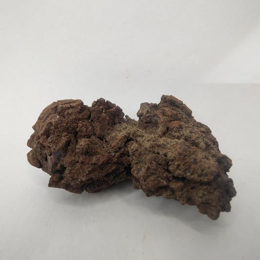 Croprolite - Fossil Dinosaur Poop - Madagascar