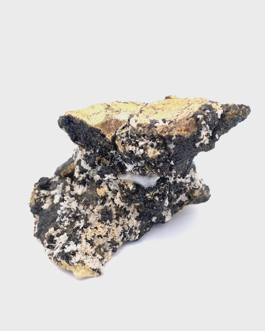 Melanite Garnet w/ Epidote from Vera Cruz, Mexico